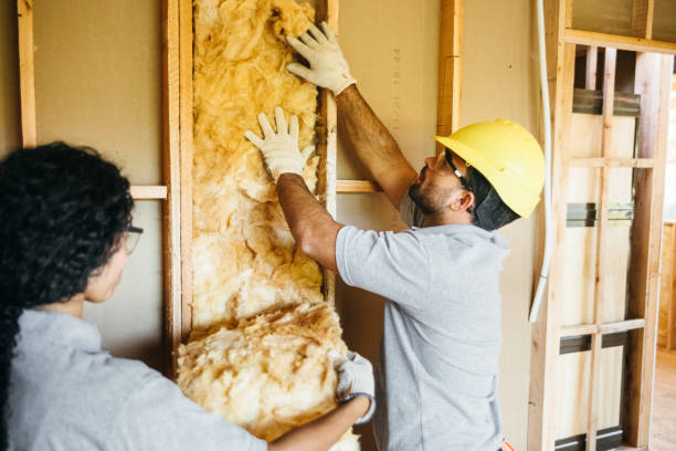 Best Insulation Removal  in Albion, MI