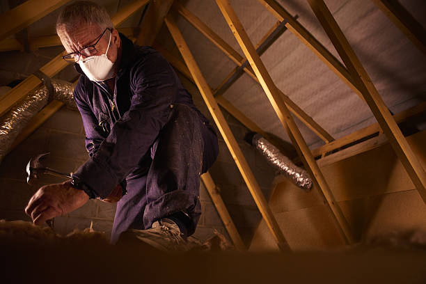 Trusted Albion, MI Insulation Contractor Experts